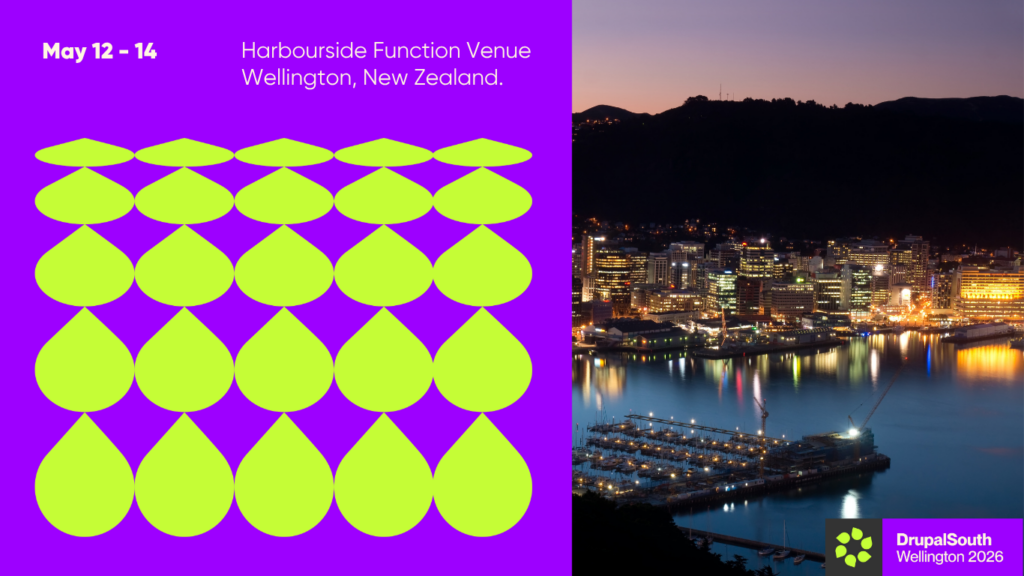 logo/banner of the drupal south conference