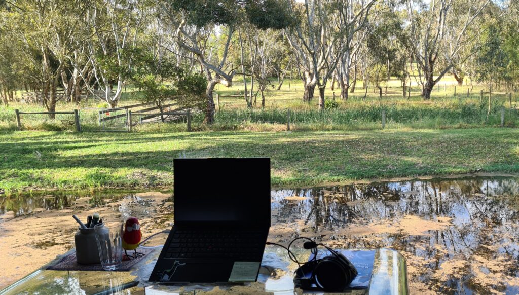 Working remotely with a nice view of the bush